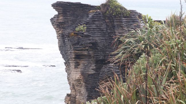 Day 23 Pancake Rocks