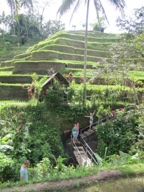 Tegalalang Rice Terraces finally in sunshine