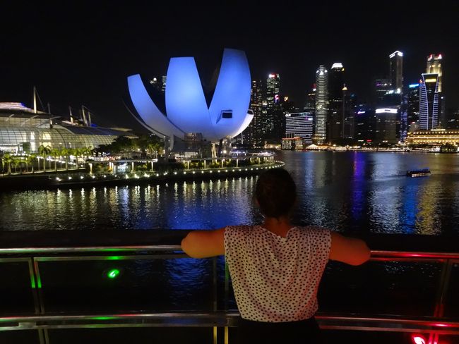 Singapur - eine kleine Oase