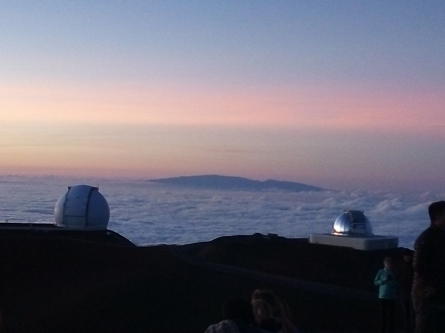 im Hintergrund der Mauna Loa