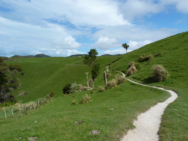 Región de Golden Bay