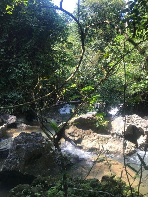 Khao Sok National Park