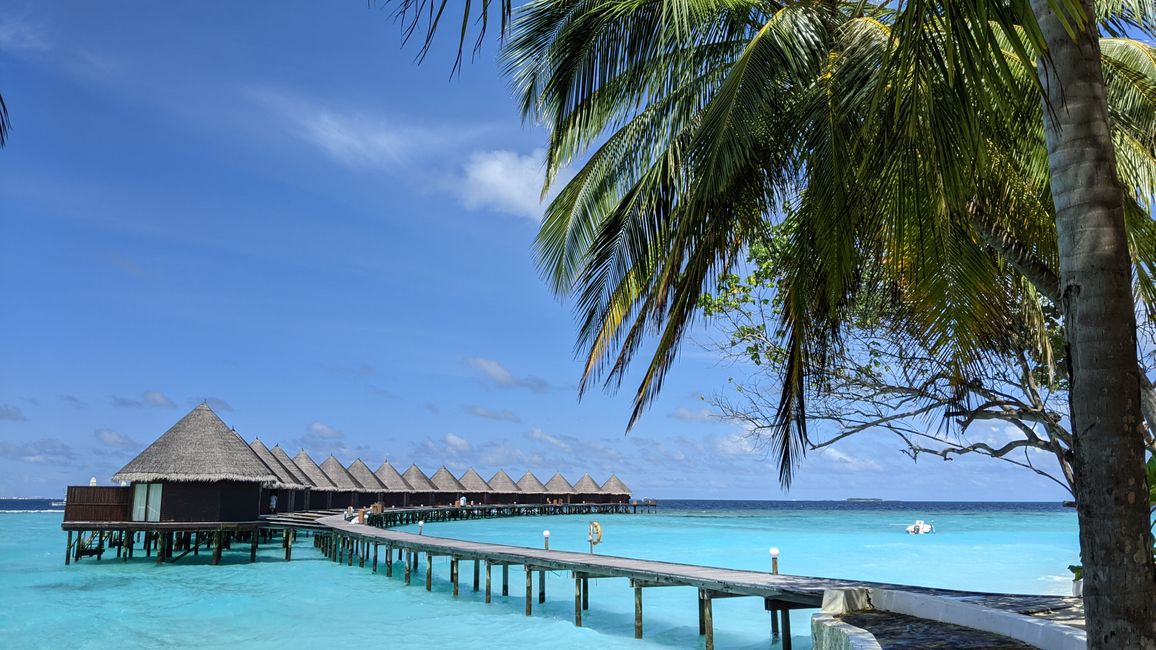 Abenteuer Malediven (Urlaubsabenteuer)