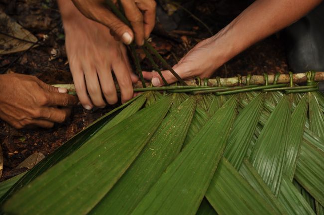 ... the braiding of palm leaves