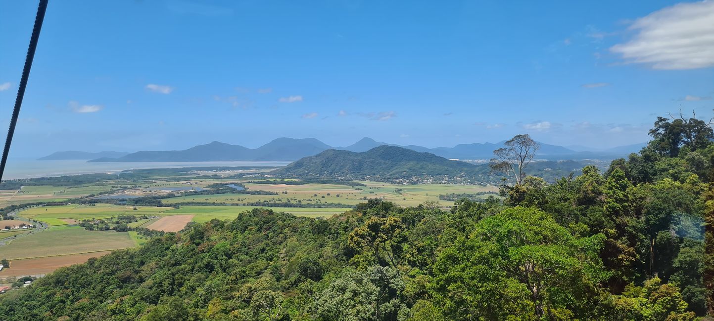 Day 14/15 - Kuranda