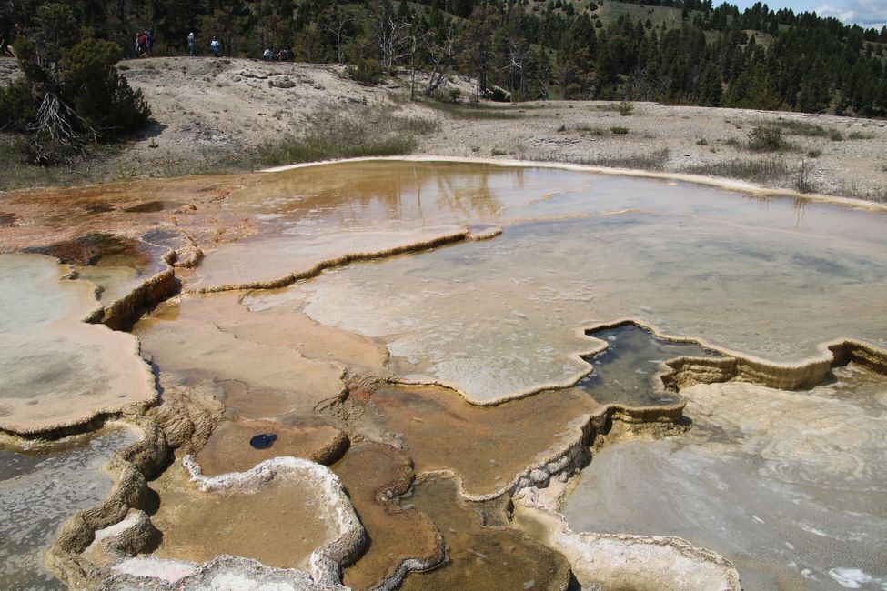Benvinguts a la placa calenta de la terra - Yellowstone NP