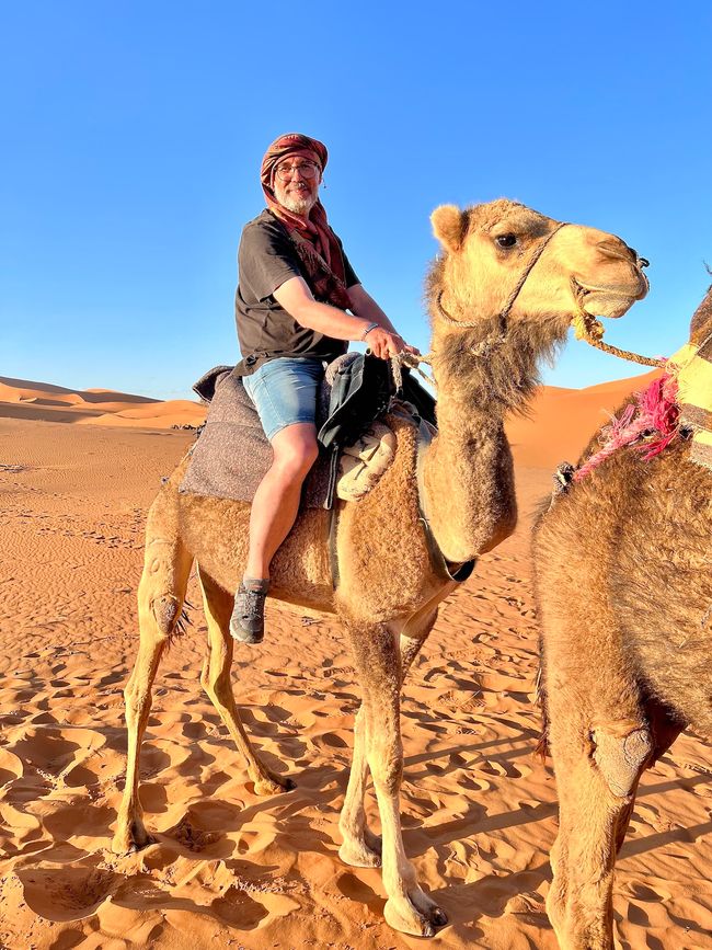 Ein Dromedar und ein Kamel auf dem Weg in die Wüste. (Foto: Birgit)