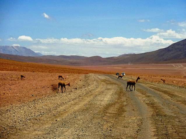 Atacama to the north of Geysers Tatio