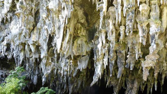 Hundreds of stalactites