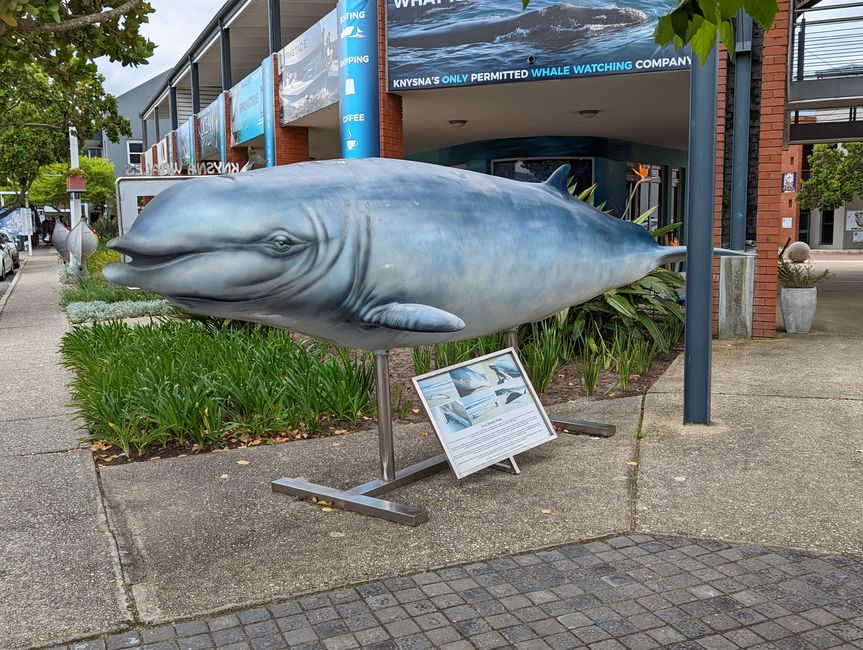 Knysna, Mossel Bay, Oudtshoorn