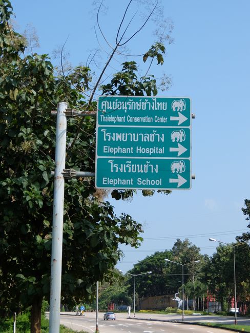 Chiang Mai and Loy Krathong
