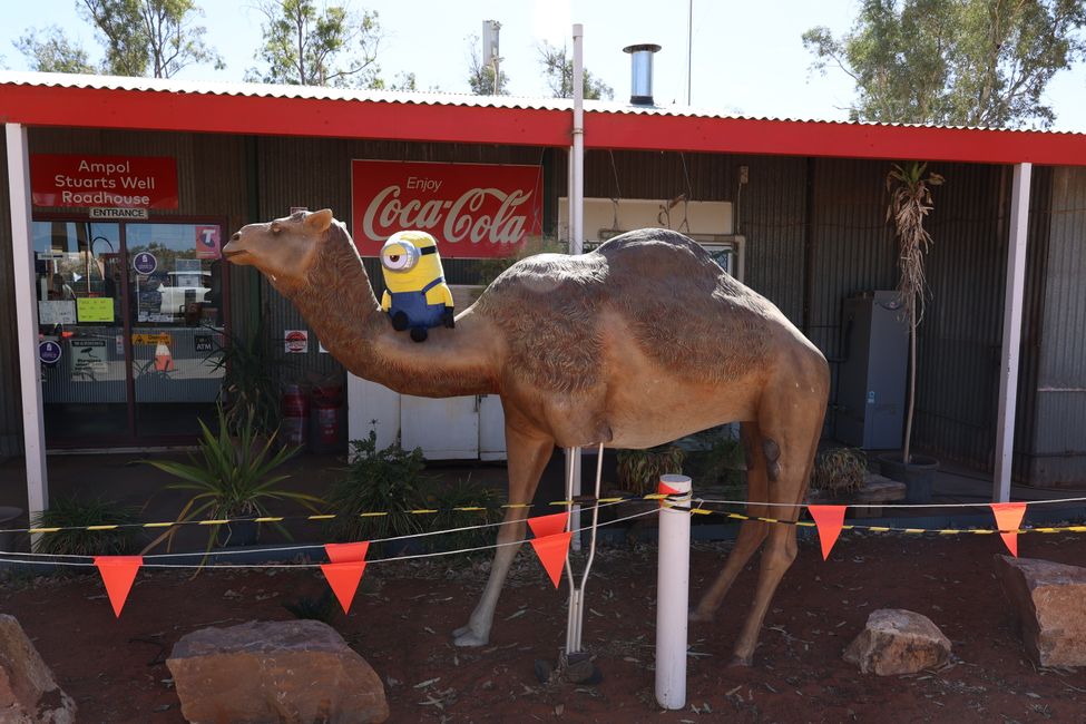 Stuart on camel at Stuart Well Roadhouse