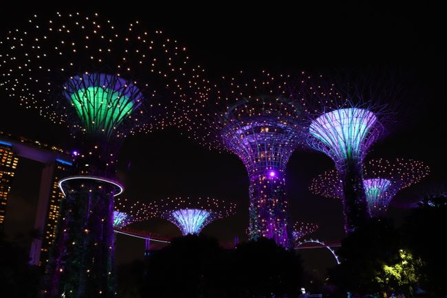 Super Trees in Gardens by the Bay