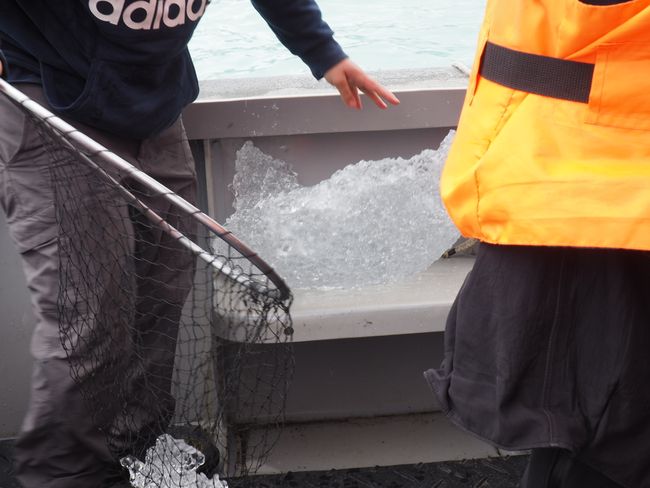 Gletscher-Tour - das Eis für unseren Whiskey wird gefischt