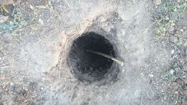 My first hole... 1m deep