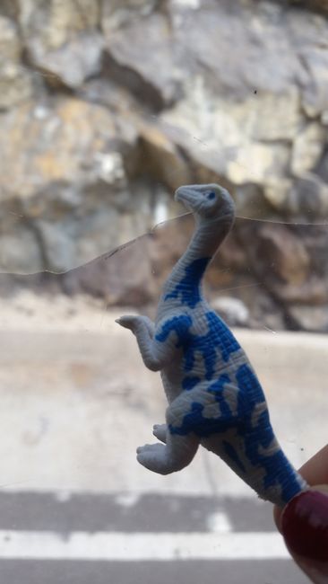 Von Dinosauriern - Kolumbiens Nordosten