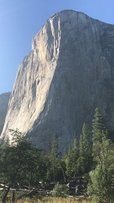 Yosemite N.P.