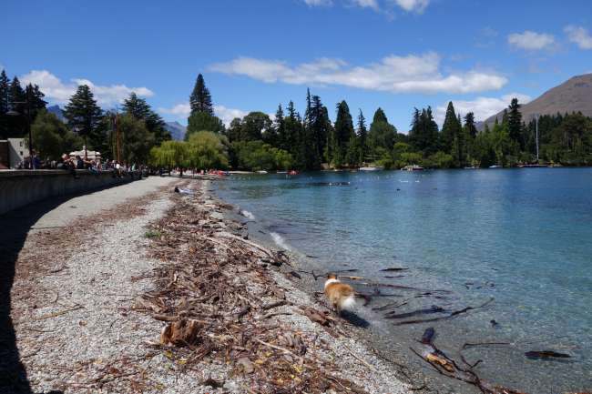 Lake Wakatipu at Queenstown