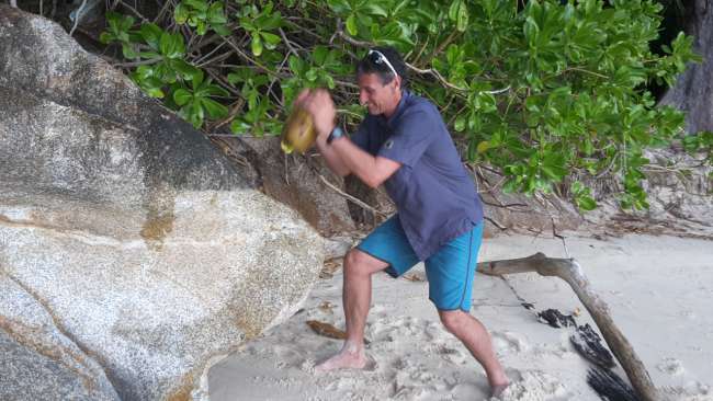 Cracking coconuts, not so easy