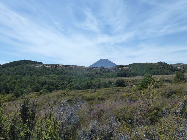 Noch ein letzter Blick zum Mount Ngauruhoe...
