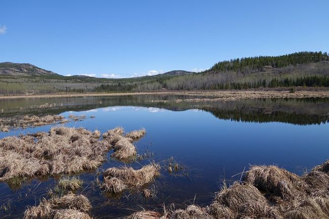 Part of the Yukon Wildlife Preserve