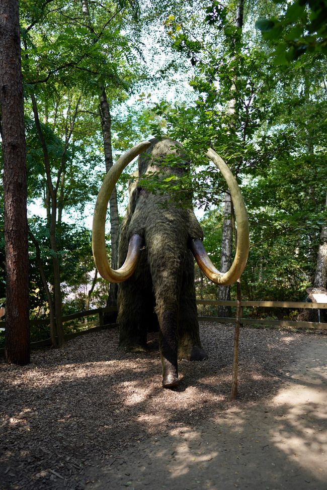 Tag 4: Ich glaub, die Dinos sind da!