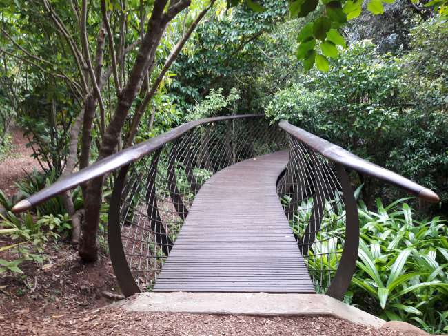 Jardín Botánico - Kirstenbosch