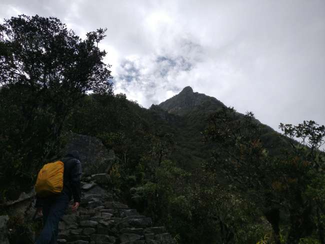 Trail to Machu Picchu Mountain 2 - Summit in sight!