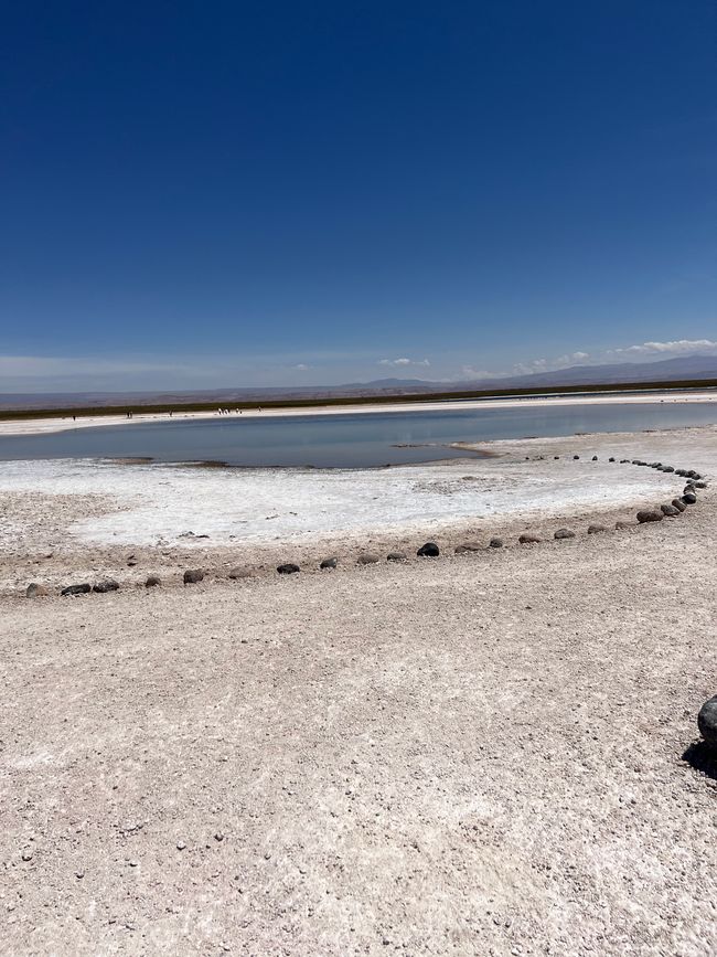 Salar de Atacama, Lagunes
30.01.2023