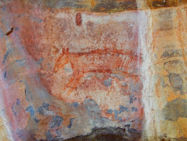 Kakadu NP - Aboriginal Art Site, Tasmanian Tiger