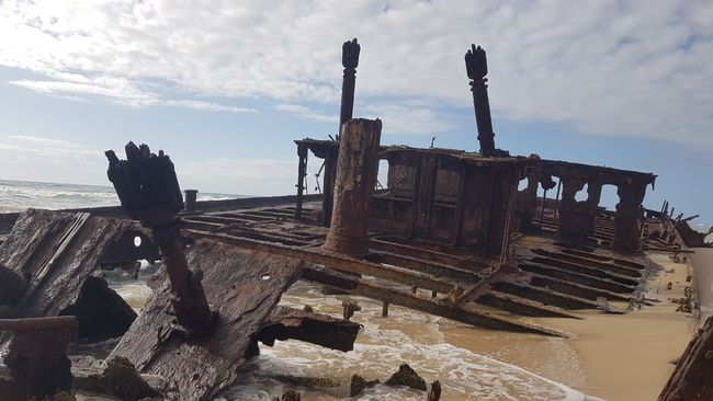 I was too lazy to get up before 5, but most of them went to the beach for the sunrise. Then we went to this shipwreck.