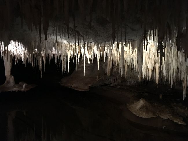 Hanging stalactites in Lake Cave