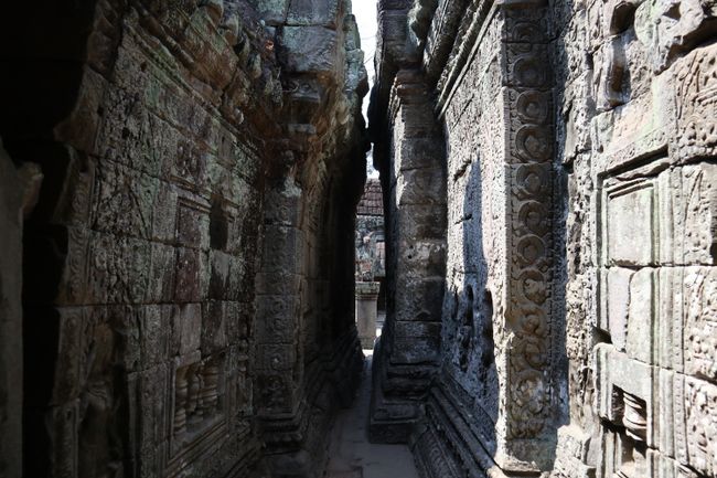 Very narrow corridors in Preah Khan.