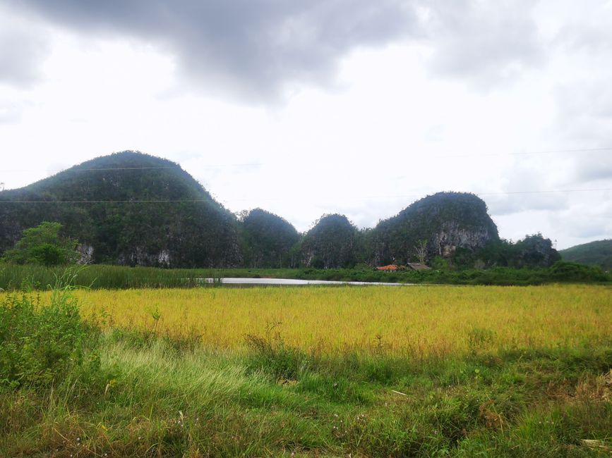 Day 40, 41 and 42: Our first days in Cuba and the beautiful landscape of Vinales