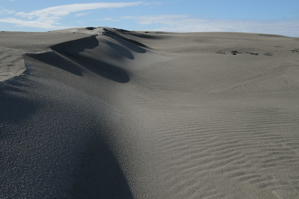 Farewell Spit: Sand Dune
