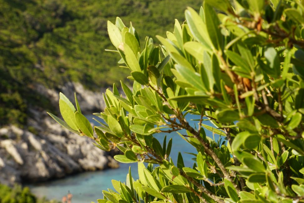 Afionas und Porto Timoni