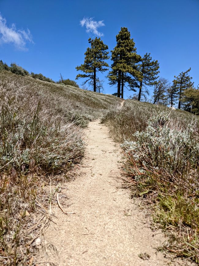 Tag 34-40: Kennedy Meadows, das Tor der Sierras