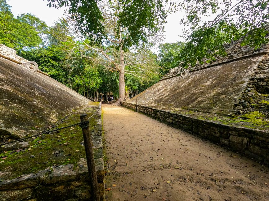 Tag 278 - Cobá Ruins, Cenote Multum Ha, Cenote Tankach-Ha & POLICE!😅