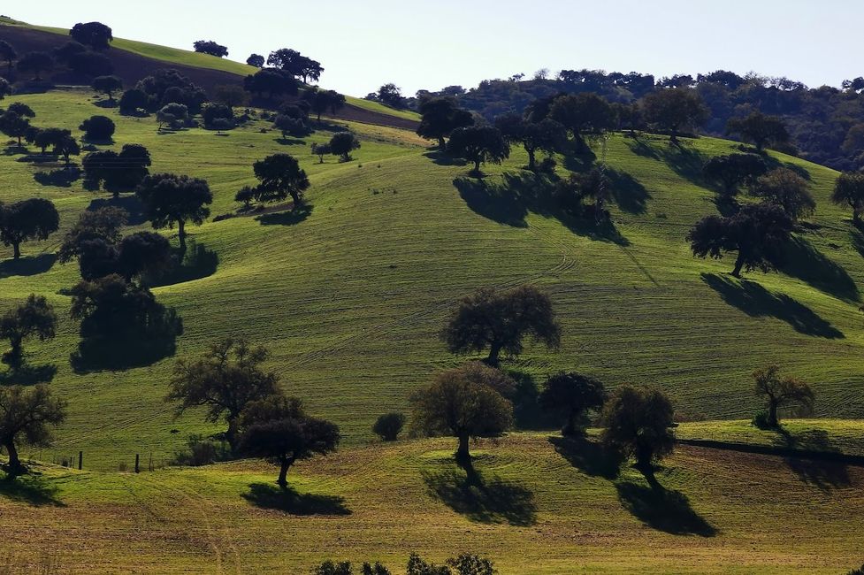 Hermoso paisaje