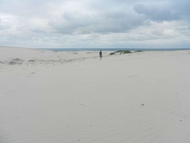 dunes in Myall Lakes National Park