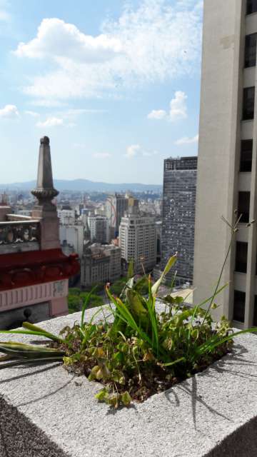 São Paulo, Bolivien und die Chile-Detour