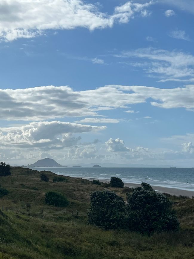 From Opotiki to Rotura and Papamoa