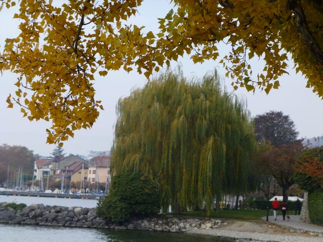 Lavaux Terrace