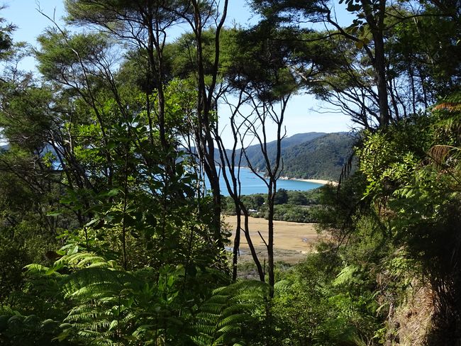 Moke Lake, West Coast und Abel Tasman