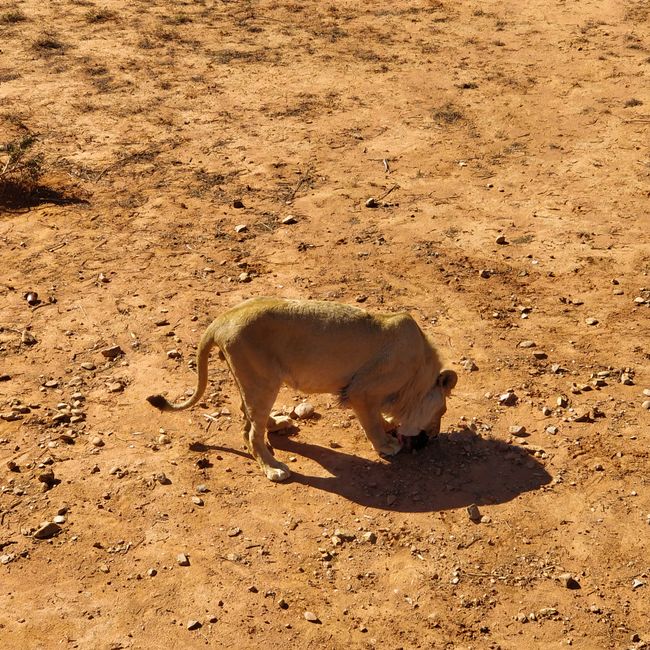 22nd November 2018