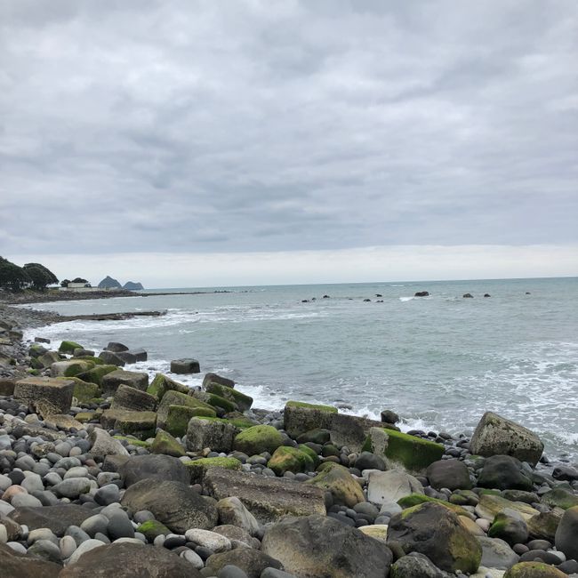 Day 8: Wellington - New Plymouth