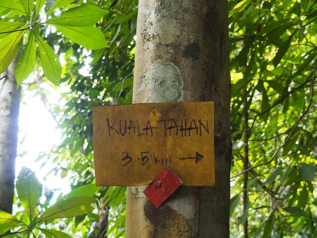 Jungle Trekking - Kuala Trengganu to Kuala Tahan