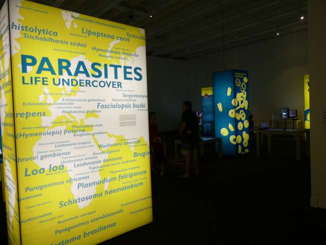 The parasite exhibition