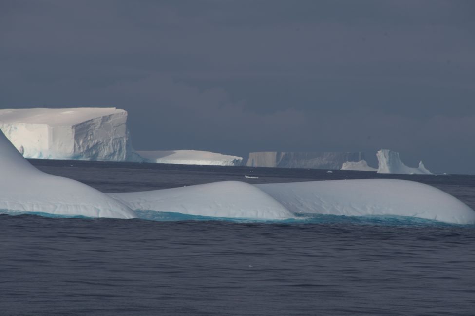 Antarctica - Bellingshausen Sea - Icebergs