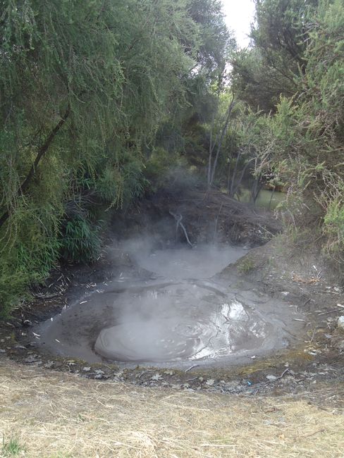 Rotorua: Sulfur, Funky Green, and the Shire